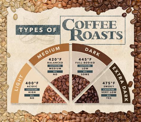 Roast Profiles and Flavor Development: Unveiling the Science of Coffee | Home Roasting Supplies