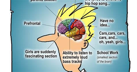 Rodrigo Estevez - Psychology: Teenage Brain