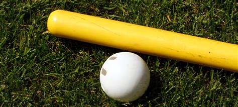 5 Best Wiffle Ball Bats In 2024 | JustBats