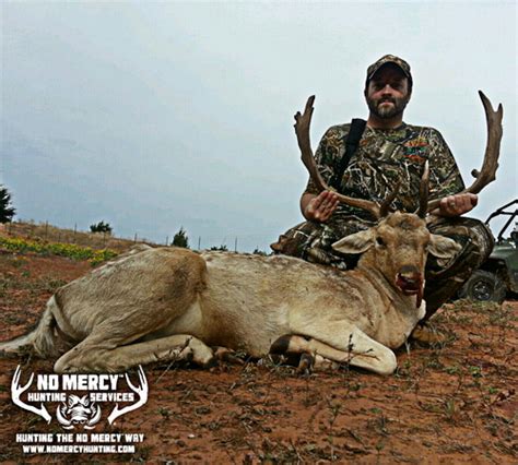 Fallow Deer Hunts at No Mercy Hunting in Oklahoma