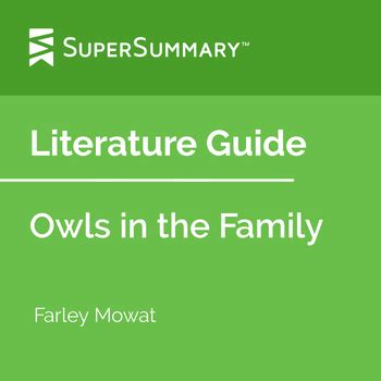 Owls in the Family Literature Guide by SuperSummary | TPT