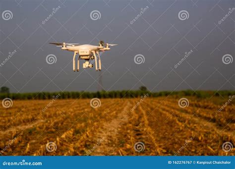 Agriculture Drone Fly on Sky and Farm after Harvest Season . Farmer Use Drone for Inspect of ...