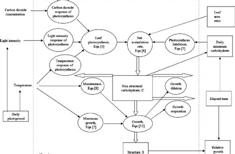 Schematic diagram of the hourly calculations of the dynamic model ...