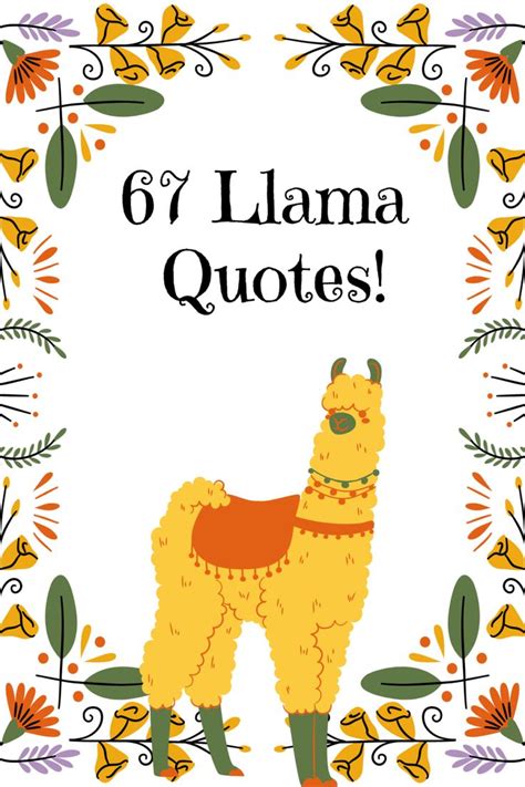 67 Adorable Llama Quotes, Captions & Sayings - Darling Quote | Llama ...