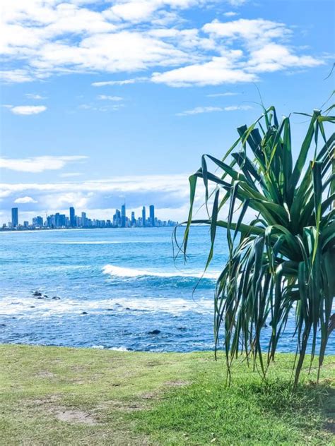 Burleigh Heads Walking Track: Complete Guide To Burleigh Hill Walk ...