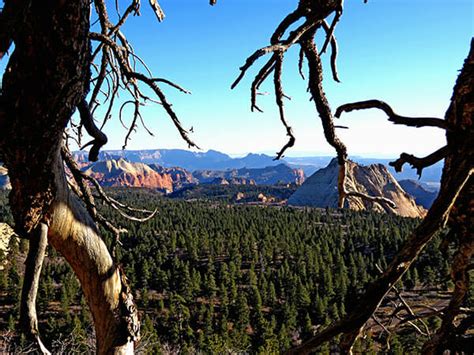 Zion Park Weather - Zion Canyon