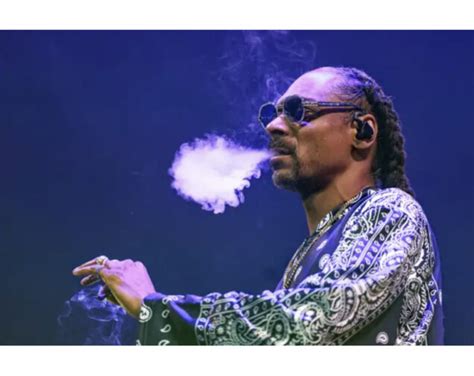 Legendary Rapper Snoop Dogg quits smoking - P.M. News