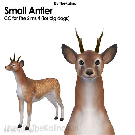 The Kalino — Antlers Small:...