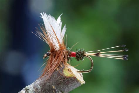 20 Best Dry Flies To Help You Catch More Fish - Into Fly Fishing