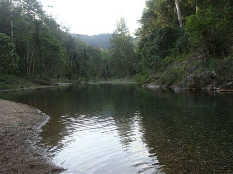 Our Australia: Camping at Conondale National Park