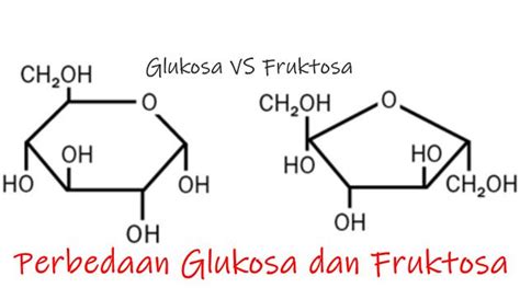 5 Perbedaan Glukosa dan Fruktosa • Jagoan Kelas