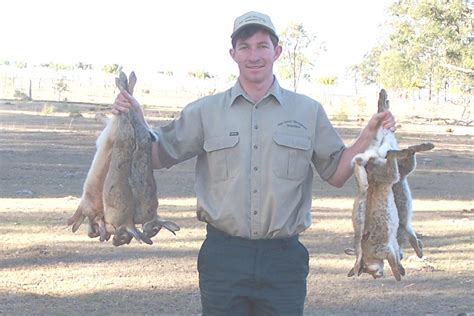 South East Queensland Trapping | European Rabbit