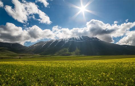 Wallpaper the sun, flowers, Italy, sunshine, Italy, flowers ...