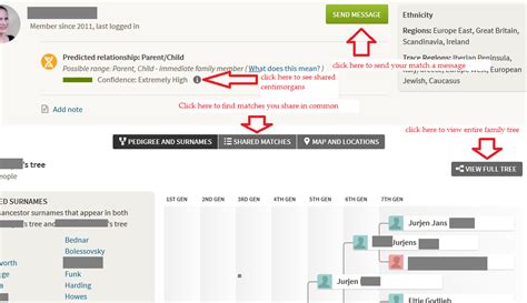 Understand Your Ancestry DNA Matches - Who are You Made Of?