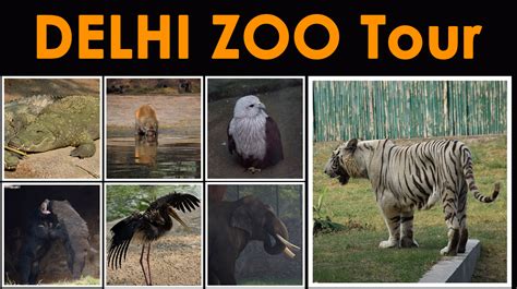 Delhi Zoo full tour - Explore Your Trip