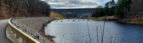 Wachusett Reservoir Hike, Massachusetts - 385 Reviews, Map | AllTrails