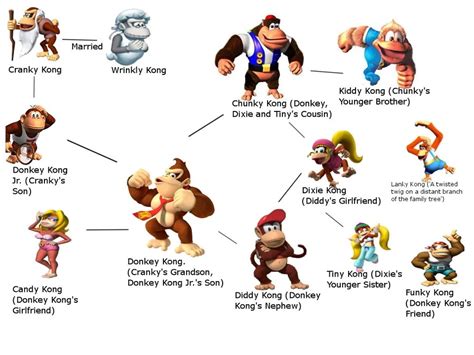 Donkey Kong family tree : r/Apandah