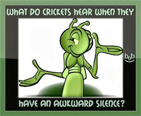 What do crickets hear when they have an awkward silence Twitter ...