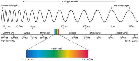 Wave Nature of Electromagnetic Radiation, Absorption Class 11 Notes | EduRev