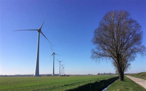 Eurus Energy switches on 21-MW Dutch wind farm