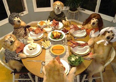 Are those Thanksgiving leftovers safe for your dog? - Hilarious Hound