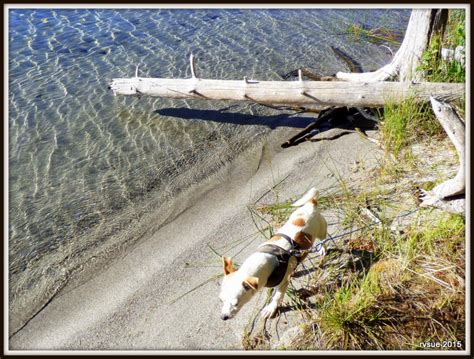 Miller Lake Oregon Camping - CAMPING SDW