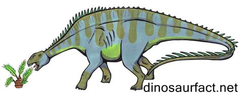 Brachytrachelopan Pictures & Facts - The Dinosaur Database