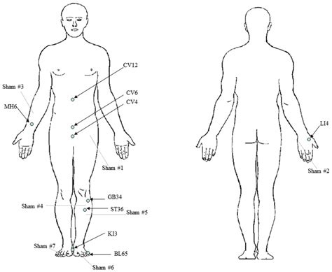 Acupuncture Point and Sham Acupuncture Point Location Map | Download ...