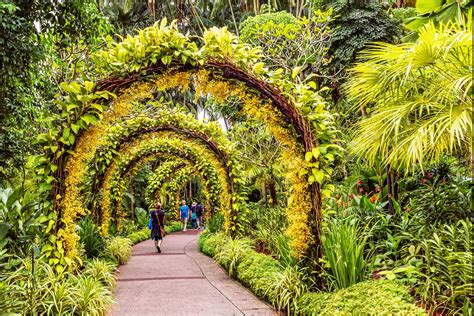 Best national parks in Singapore - Lonely Planet