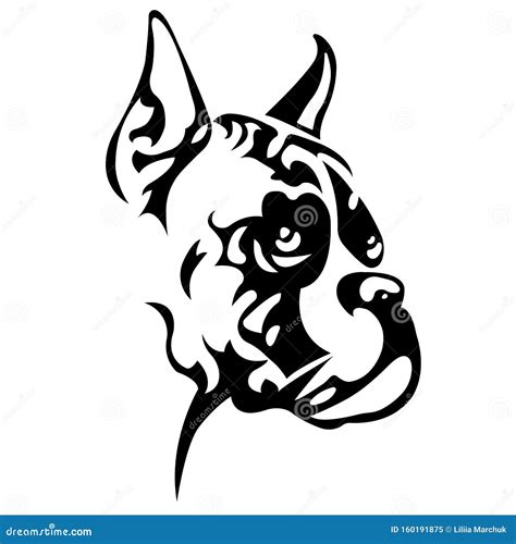 Boxer Breed Dog For Logo Design Cartoon Vector | CartoonDealer.com ...