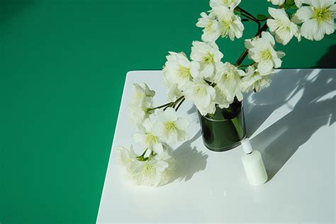 White Flowers On The White Table Background, Season, High Resolution ...