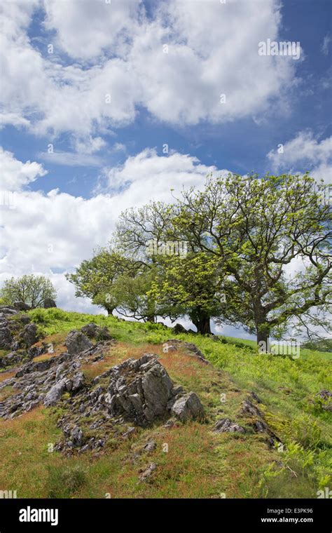 The Shropshire Hills AONB (Area of Outstanding Natural Beauty ...