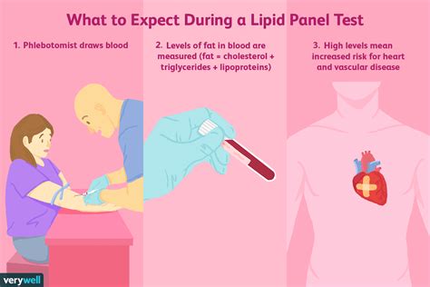 Lipid Profile – Annai Theresa