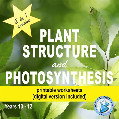 Photosynthesis Diagram Worksheet Structures Of Photosynthesis