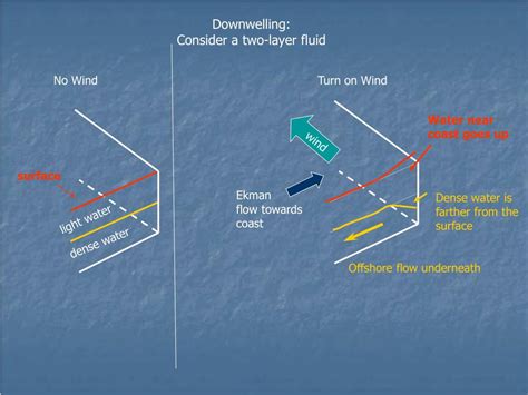 PPT - Upwelling/Downwelling and Related Processes PowerPoint Presentation - ID:4583346