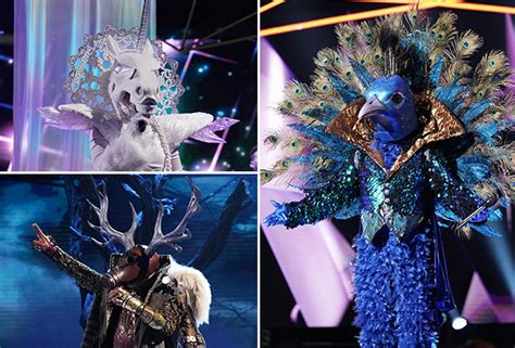 Masked Singer Clues: Episode 1 — Is The Peacock Donny Osmond? | TVLine