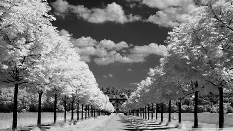 Vintage Black And White Photos Wallpapers - Wallpaper Cave