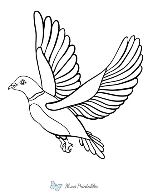 Printable Dove Coloring Page