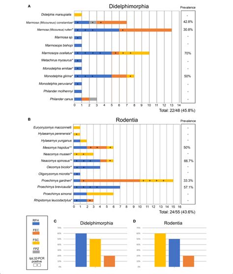 | Small mammals (A: Didelphimorphia; B: Rodentia) included in the... | Download Scientific Diagram