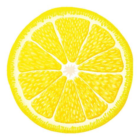 Royalty Free Lemon Slice Clip Art, Vector Images & Illustrations - iStock