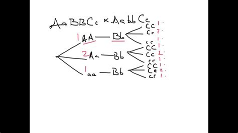 Using branch diagrams - YouTube