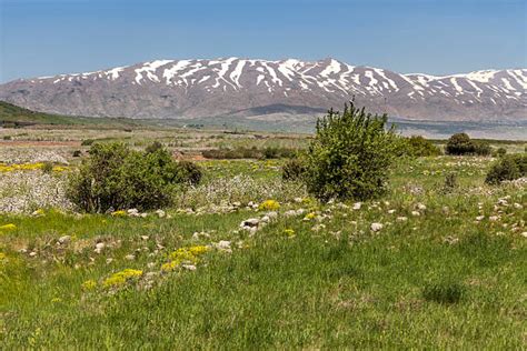 250+ Mount Hermon Israel Landscape Mountain Stock Photos, Pictures & Royalty-Free Images - iStock