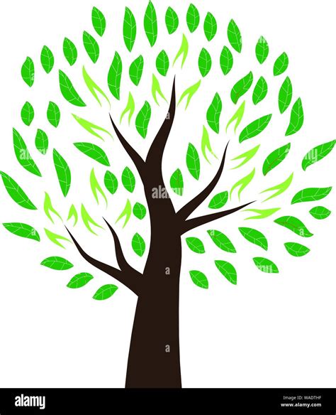 Stylized tree vector Stock Vector Image & Art - Alamy