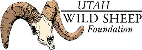 10 Interesting Facts About Bighorn Sheep - Utah Wild Sheep Foundation