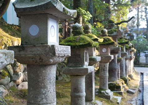 What Are Toro? Discovering Traditional Japanese Lanterns