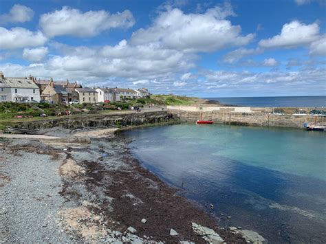 Alnmouth to Craster Coastal Walk - A Scenic Route | Joanne Wishart