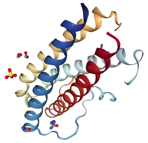 IL11 Protein