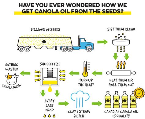 From Seed to Bottle.. Canola Oil Processing – Eat Well