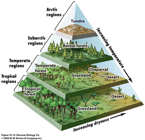 Guide to biomes : r/ecology