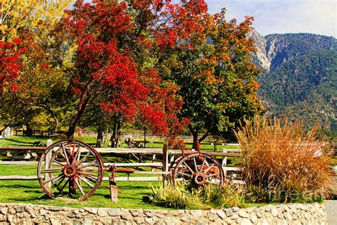 Fall Colors at the Apple Farm Photograph by Diana Raquel Sainz